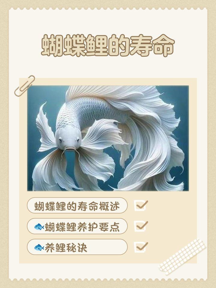 蝴蝶鯉壽命 蝴蝶鯉壽命 龍魚論壇 第15張