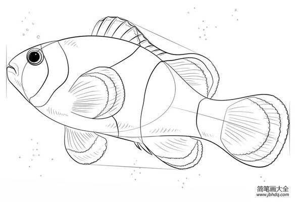 北票市南山魚樂水族店（北票觀賞魚） 北票市南山魚樂水族店（北票觀賞魚） 全國水族館企業(yè)名錄