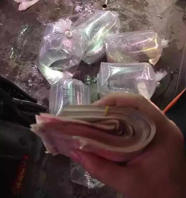 戰(zhàn)車紅龍需要多大的魚缸？