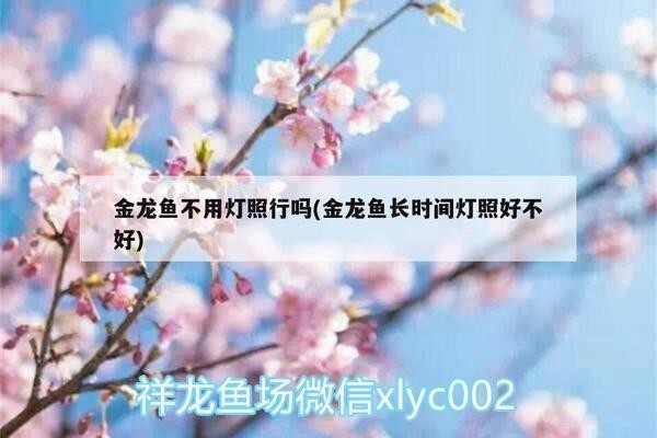 森森魚缸App可以看到魚缸不（如何設置森森魚缸app定時任務？）