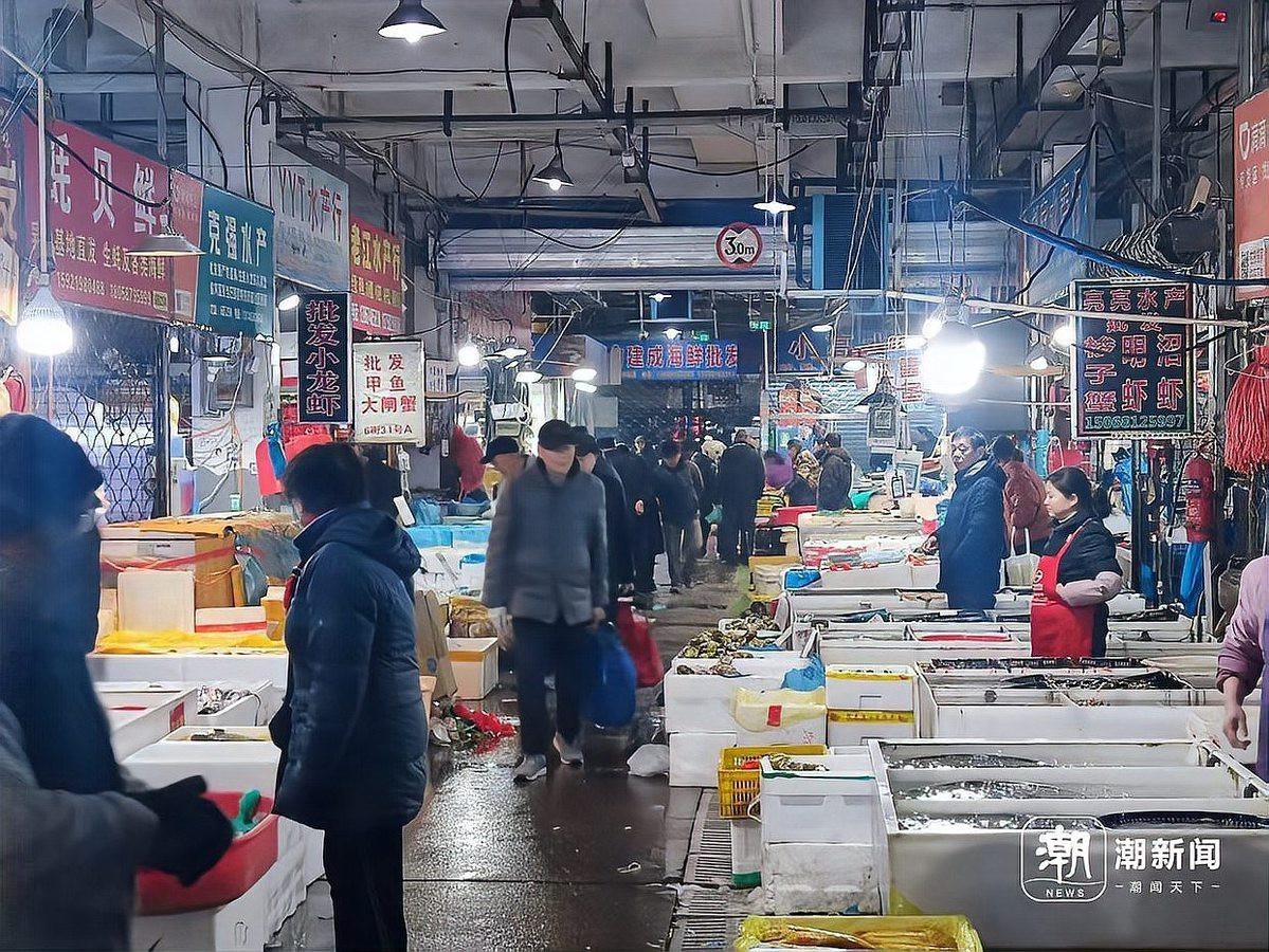 市場上小青龍多少錢一斤