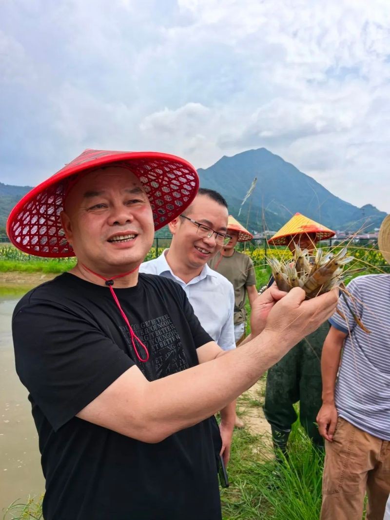 市場上小青龍多少錢一斤