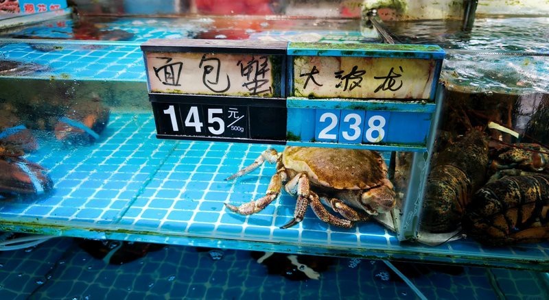 市場上小青龍多少錢一斤