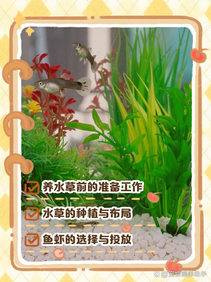 缸養(yǎng)水草的正確方法