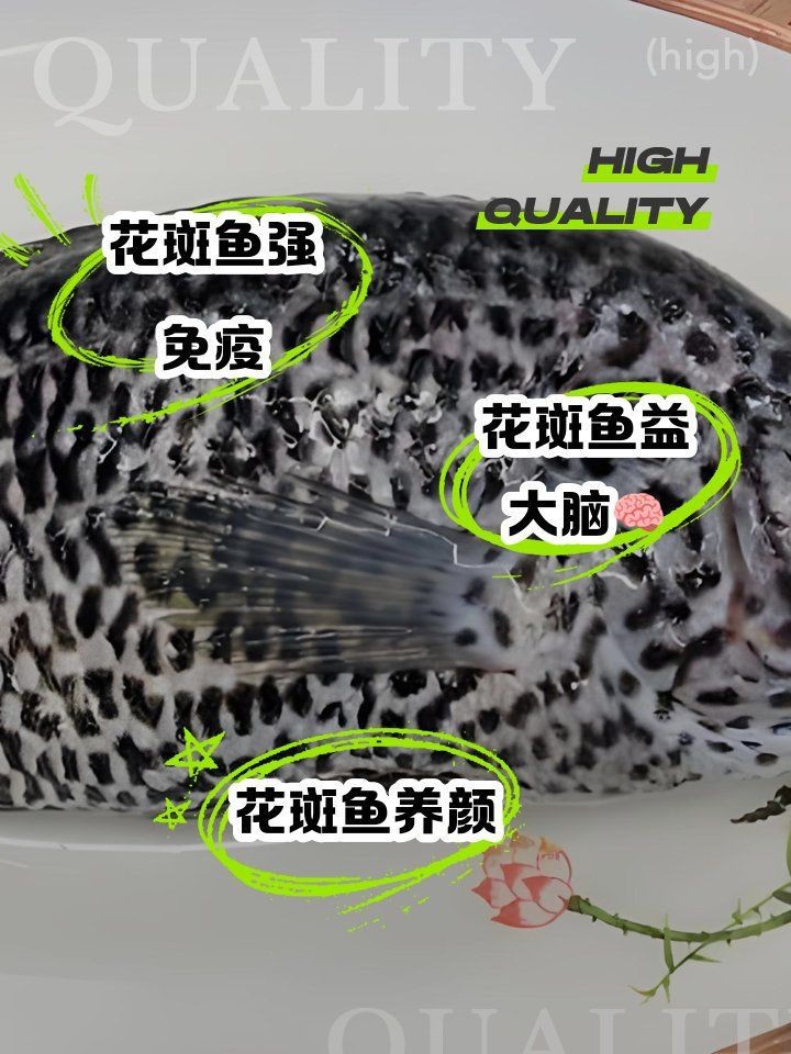花斑魚的作用
