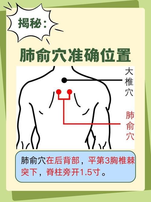 肺俞的準確位置圖