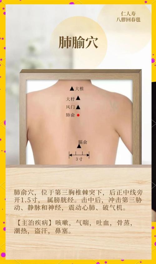 肺俞的準確位置圖