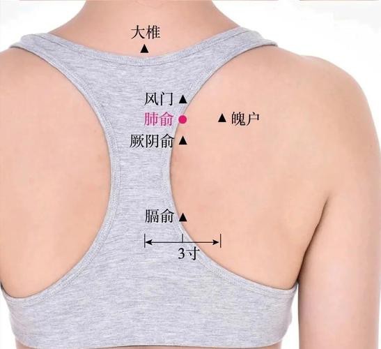 肺俞的準確位置圖