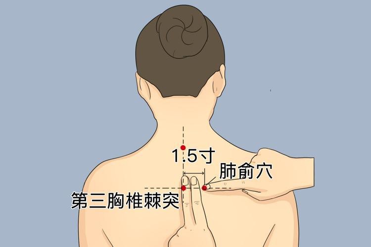 肺俞的準確位置圖
