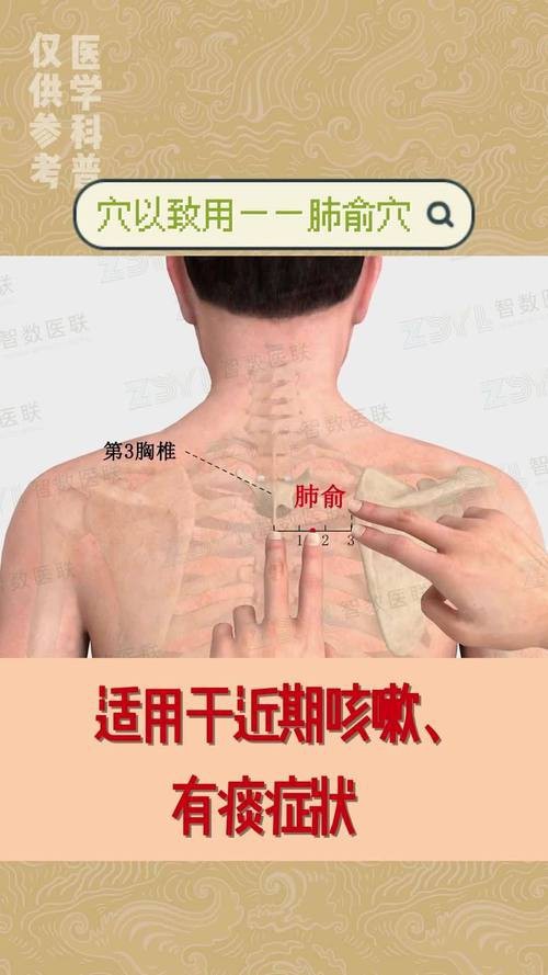 肺俞的準確位置圖