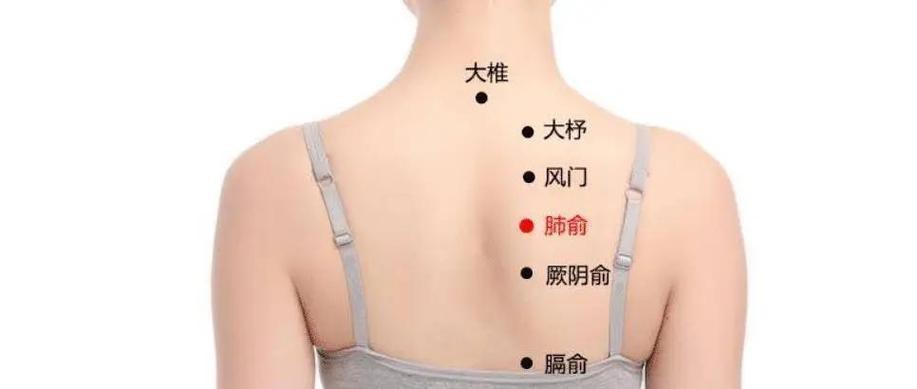 肺俞的準確位置圖