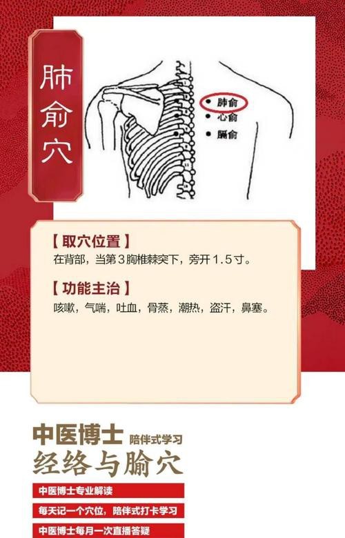 肺俞的準確位置圖