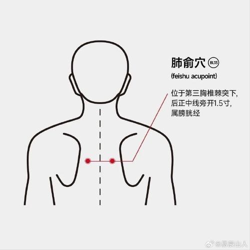 肺俞的準確位置圖