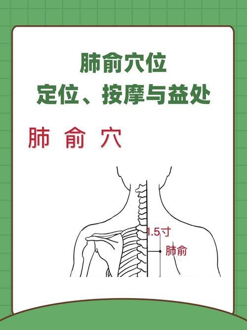 肺俞的準確位置圖