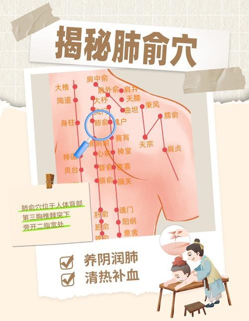 肺俞的準確位置圖