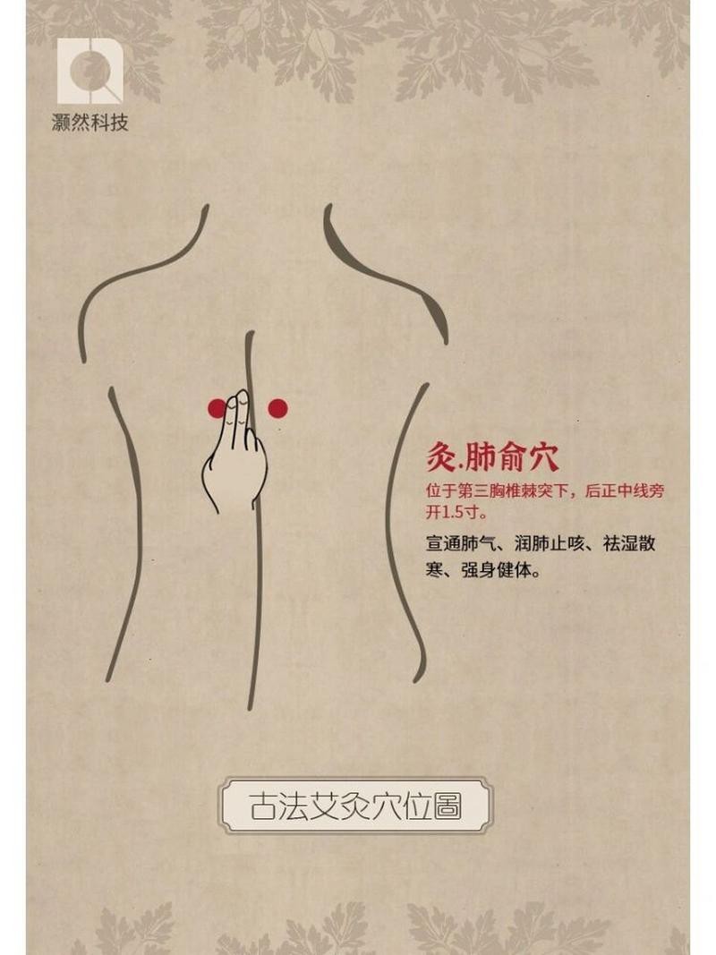 肺俞的準確位置圖