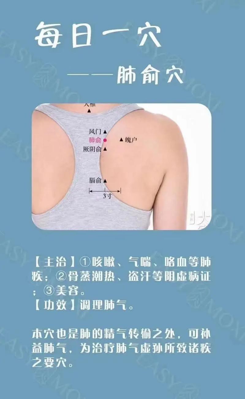 肺俞的準確位置圖