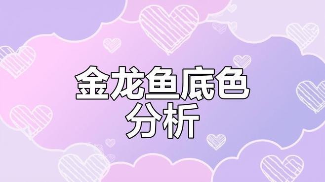紫底金龍的市場需求如何？