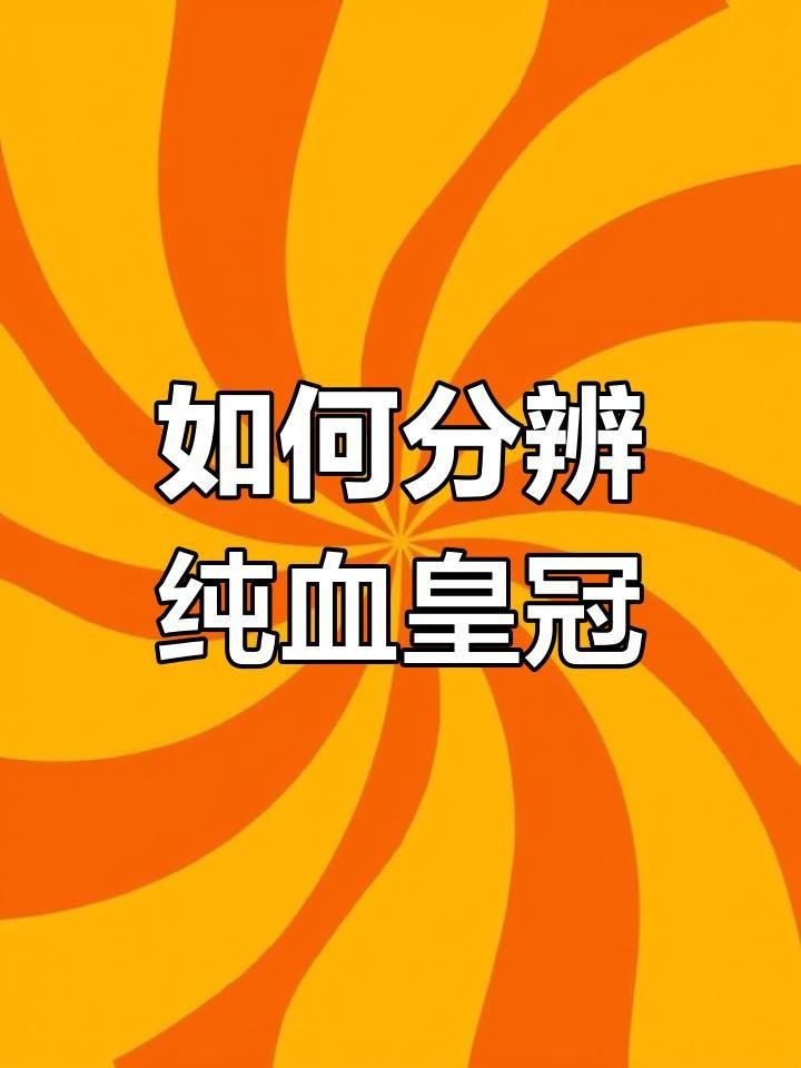 魟魚品相怎么看