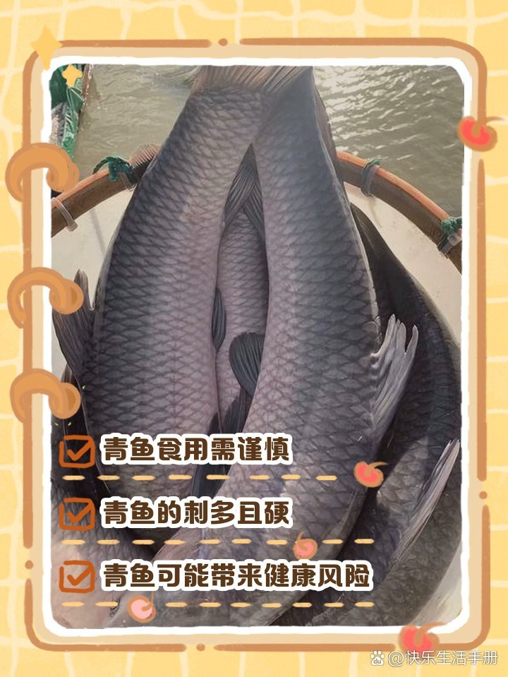青魚為何要盡量少吃