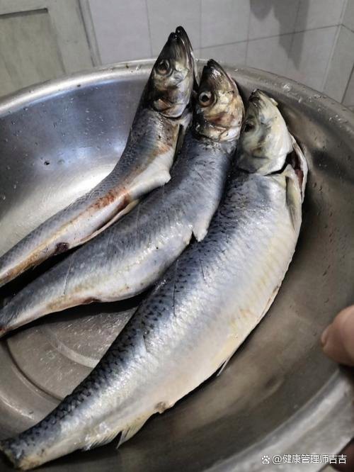 青魚為何要盡量少吃