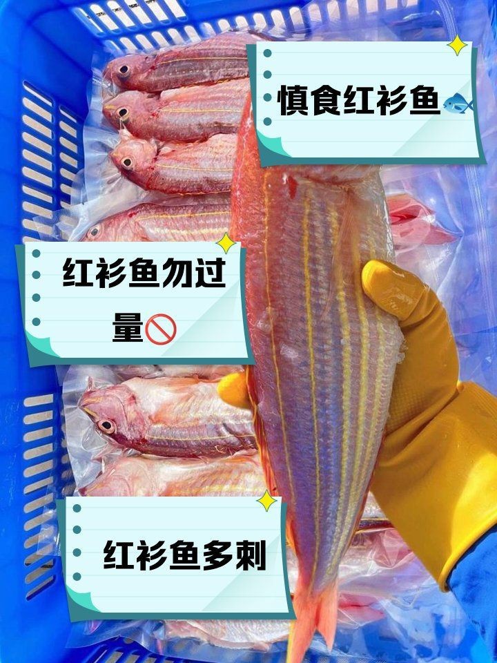 紅杉魚為何被禁止食用
