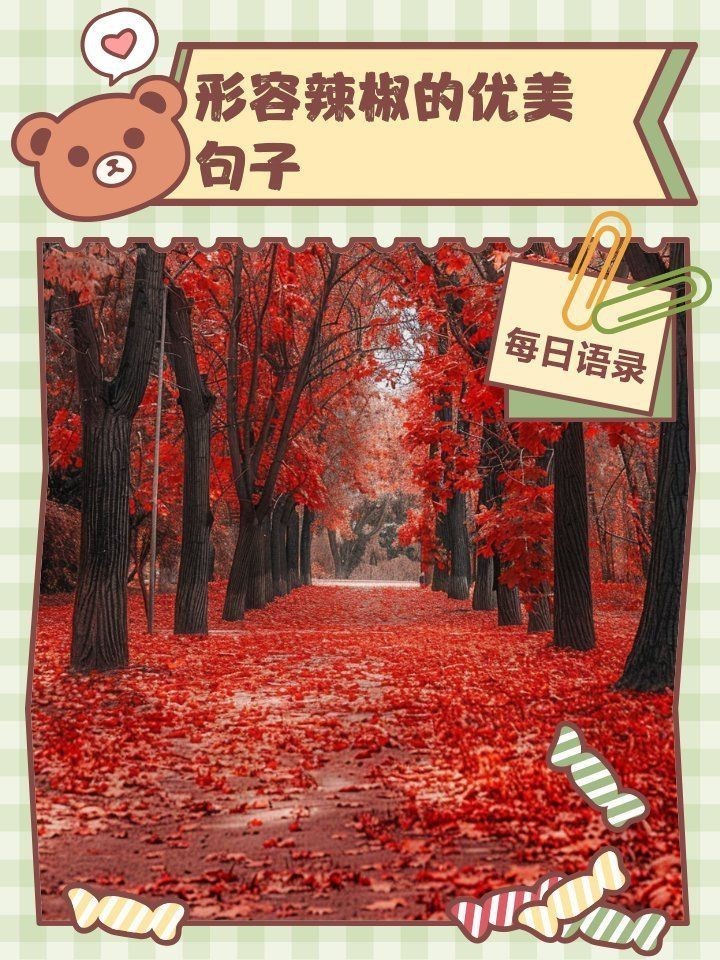 紅辣椒最火最撩人句子