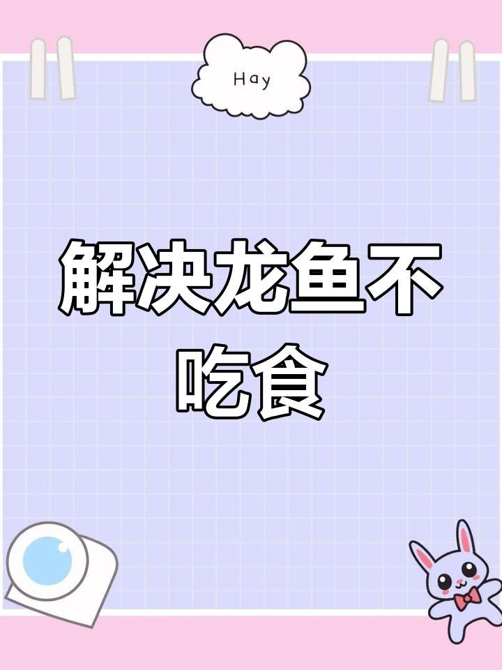 龍魚含食不吞如何應急處理？