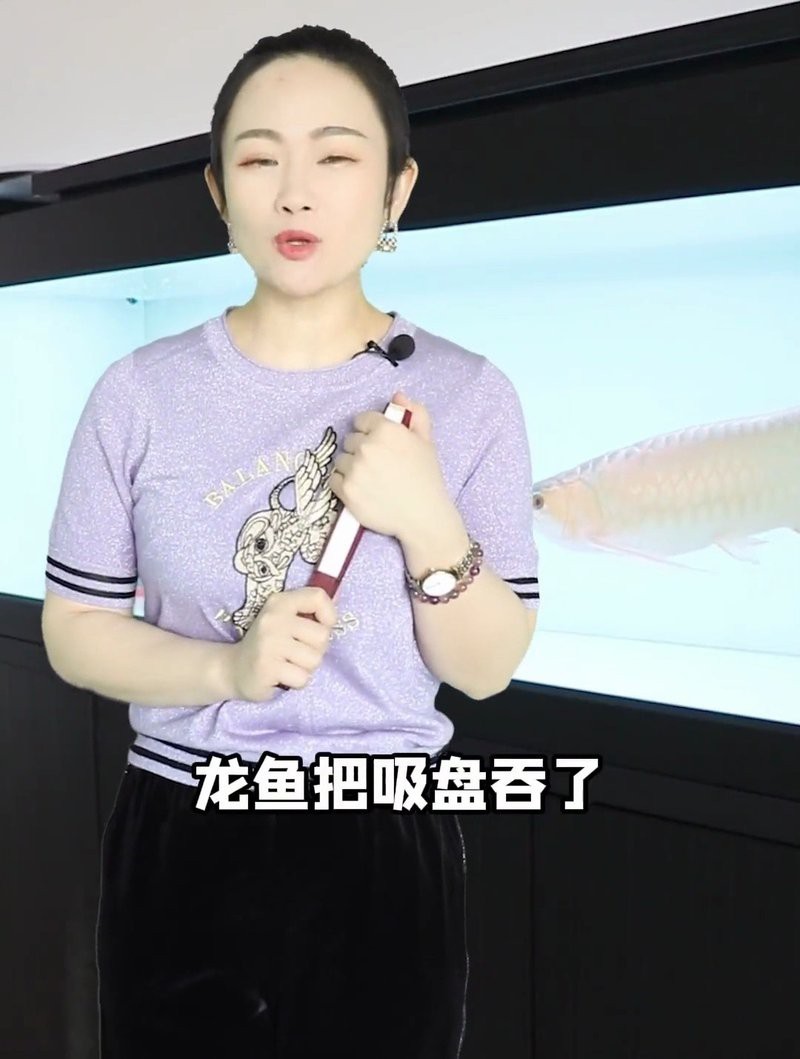 龍魚含食不吞如何應急處理？