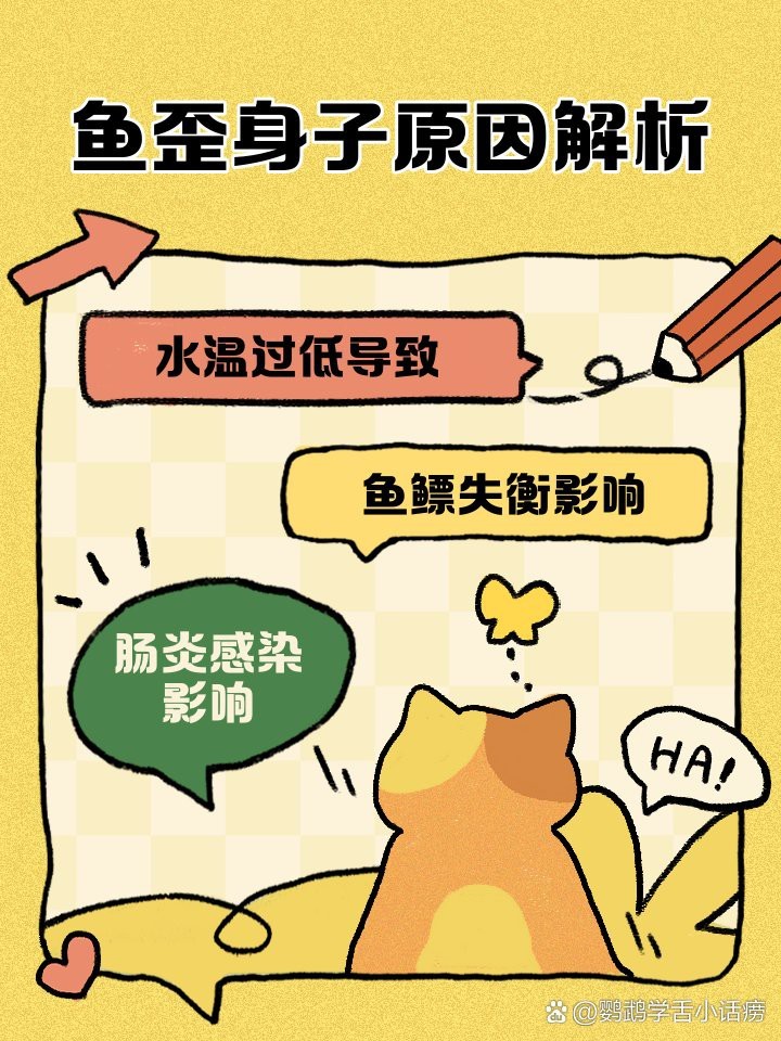 地圖魚斜著身子躺缸底