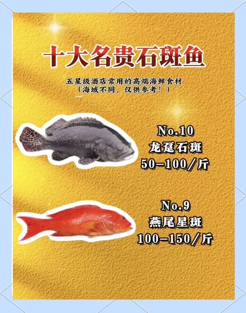 十大名貴石斑魚排名