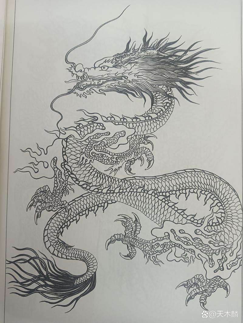 龍畫圖片大全