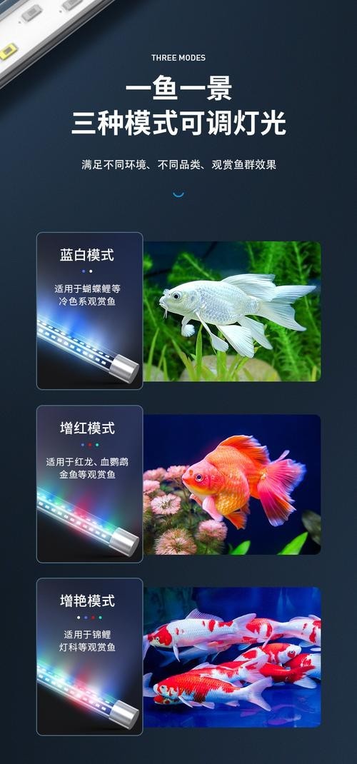 龍魚缸用什么燈比較好呢圖片