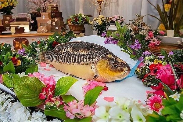 龍魚死了有什么忌諱嘛圖片