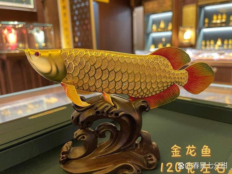 金龍魚動態壁紙有哪些文化寓意