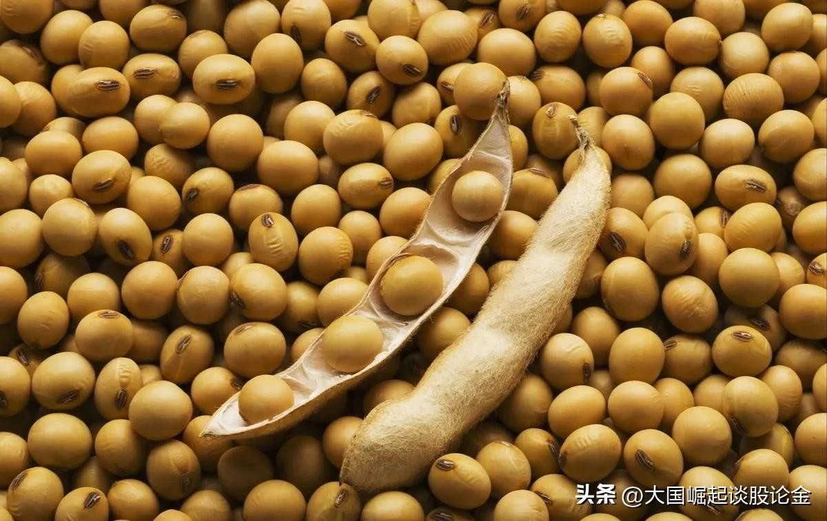 東河區(qū)郭建光花卉魚缸經(jīng)銷部（東河區(qū)郭建光花卉魚缸經(jīng)銷部電話）