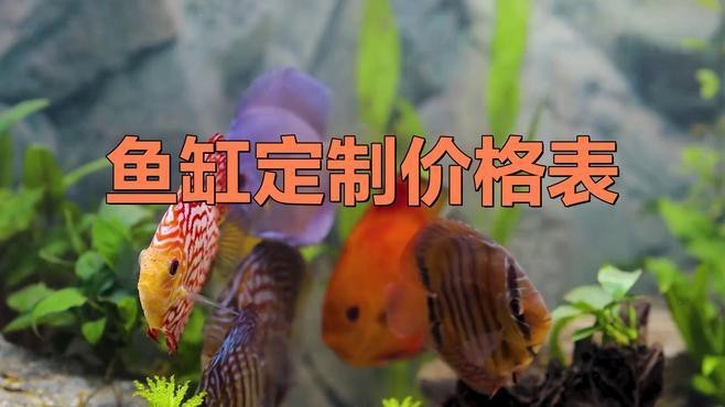 定制魚缸多少錢一個