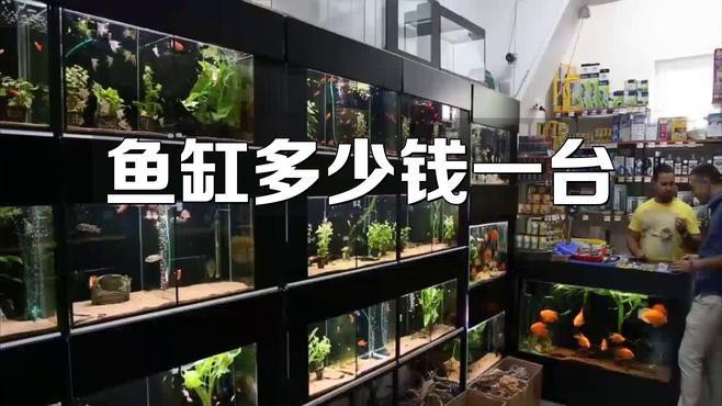 定制魚缸多少錢一個