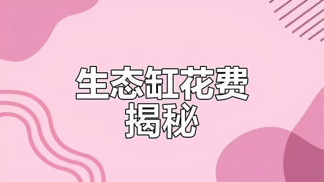 定制魚缸多少錢一個