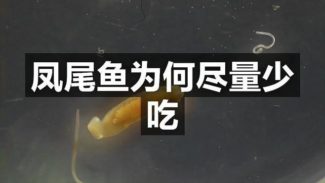 鳳凰魚為何盡量少吃