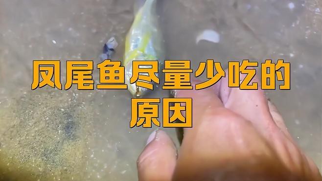 鳳凰魚為何盡量少吃