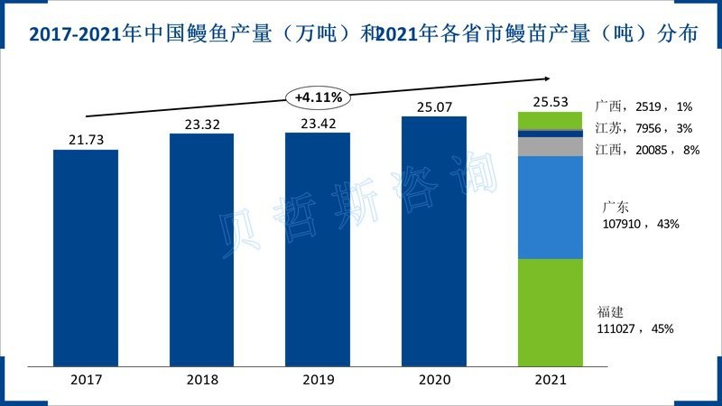 曼龍魚的市場需求如何
