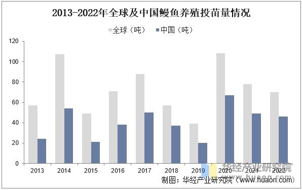 曼龍魚的市場需求如何