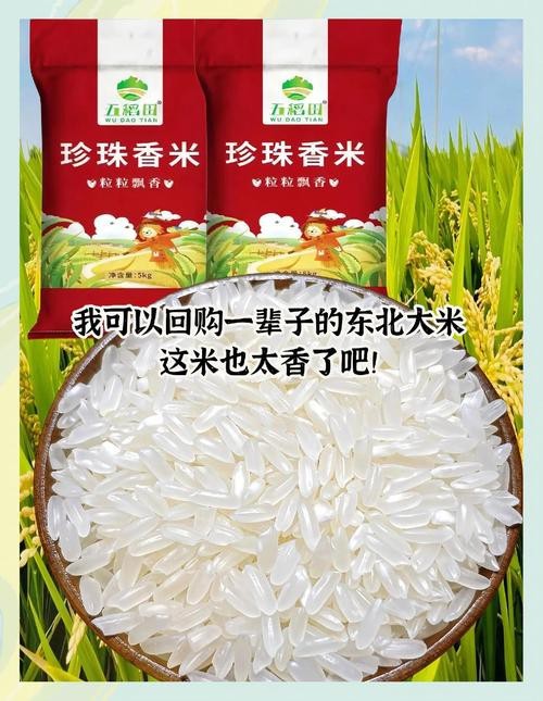 金龍魚歲月凝香東北珍珠香米