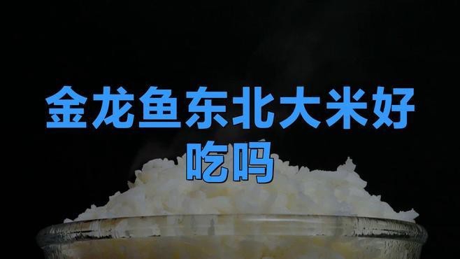 金龍魚歲月凝香東北珍珠香米