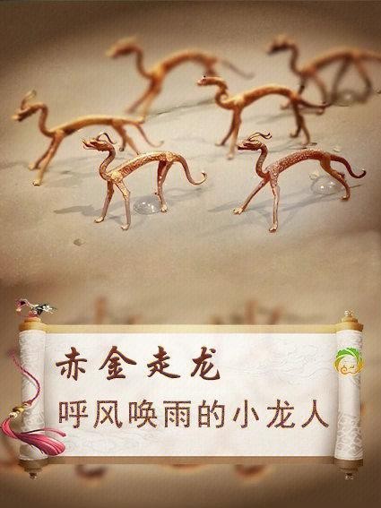 金龍長(zhǎng)大后照片大全