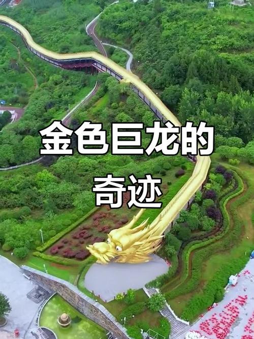 金龍長(zhǎng)大后照片大全