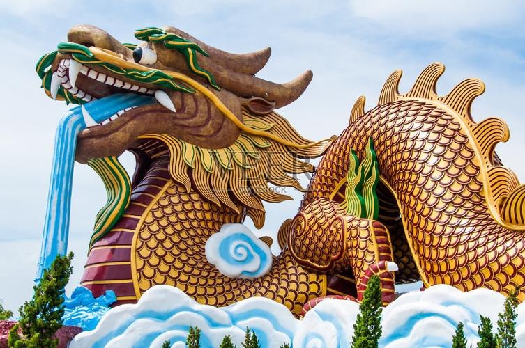 金龍長(zhǎng)大后照片大全