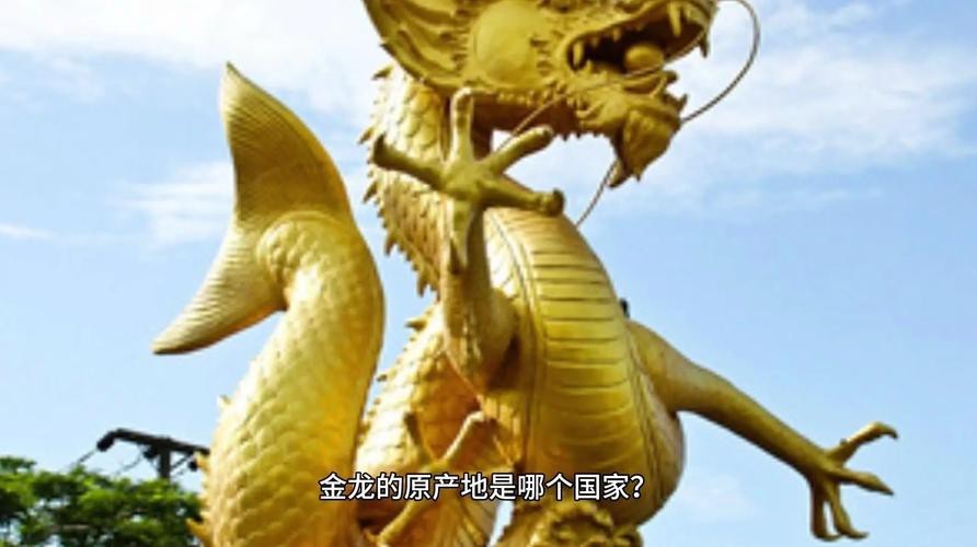 金龍長(zhǎng)大后照片大全
