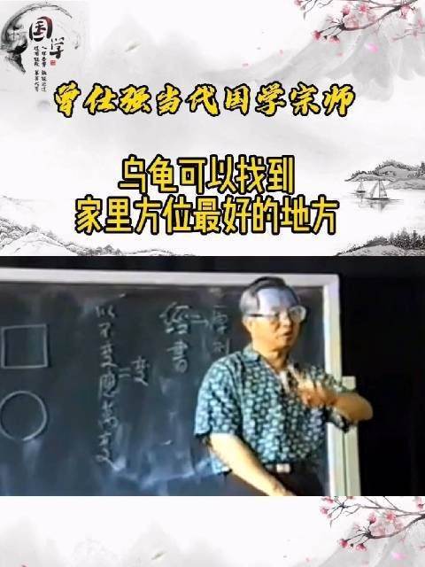 曾仕強談養烏龜